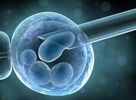 舟山正规试管婴儿助孕机构有哪些？怎么选择试管方案？