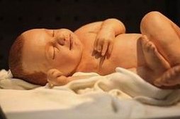 做试管婴儿一个周期大概需要多少钱？