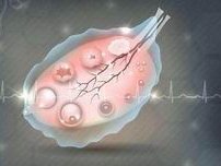 贵州三代试管婴儿价格表注意这三个方面
