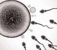 南宁正规不孕不育试管婴儿医院排行榜