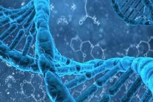 女性有染色体罗氏易位在额尔古纳市做试管养囊成功率高吗？试管移植后需要保胎吗！