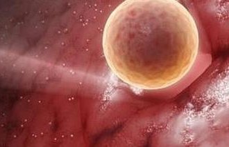 美国试管攻略大全分享：从促排到验孕七步搞定！