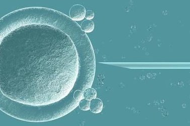 南阳哪些医院试管婴儿的成功率比较高？需要多少钱？